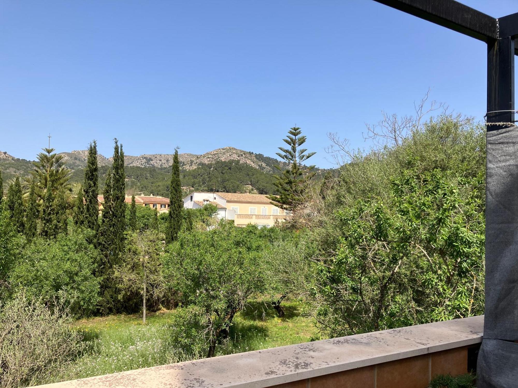 Sweet William Villa S'Arraco Exterior photo